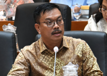 DPR RI