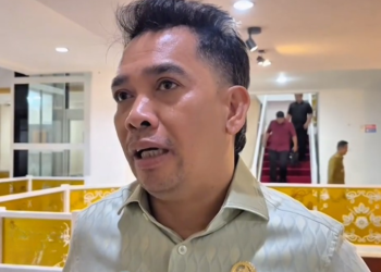 DPRD Minta Penguatan Pengawasan Pekerja Asing