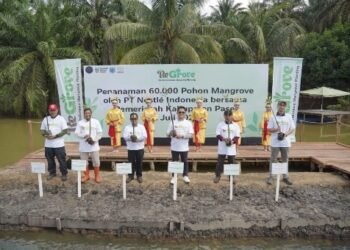 Nestle Tanam 60 Ribu Mangrove di Paser