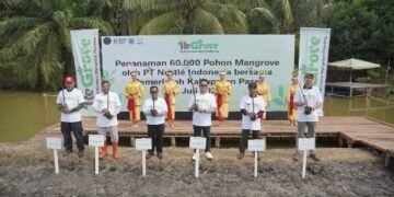 Nestle Tanam 60 Ribu Mangrove di Paser