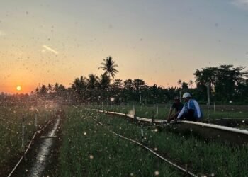 PLN Komitmen Stabilkan Tarif Triwulan III
