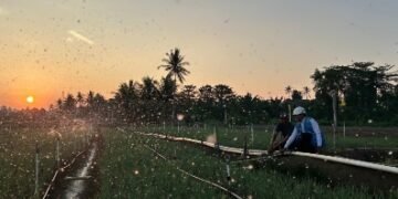 PLN Komitmen Stabilkan Tarif Triwulan III