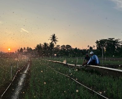 PLN Komitmen Stabilkan Tarif Triwulan III