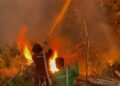 Pertamina Bantu Pemadaman Karhutla Samboja