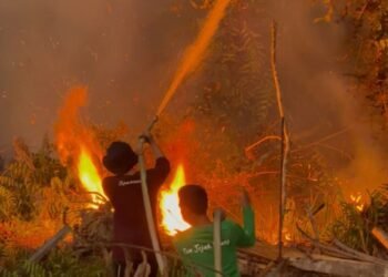 Pertamina Bantu Pemadaman Karhutla Samboja