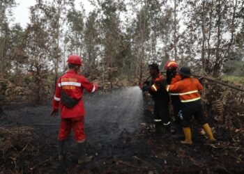 BNPB Uji Coba Pembendung Karhutla