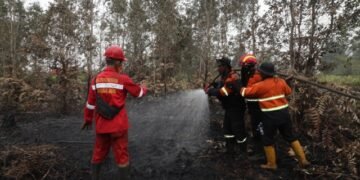 BNPB Uji Coba Pembendung Karhutla