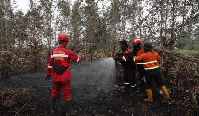 BNPB Uji Coba Pembendung Karhutla