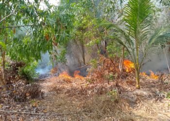BPBD Ajak Warga Gunakan Masker