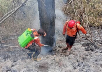 Karhutla Kalimantan Capai 3.000 Hektar