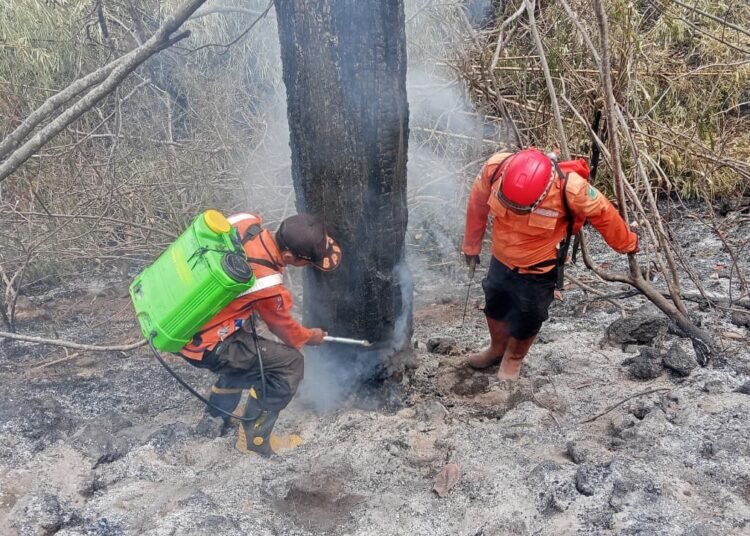 Karhutla Kalimantan Capai 3.000 Hektar