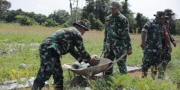 Kodim Malinau Panen 3,5 Ton Semangka