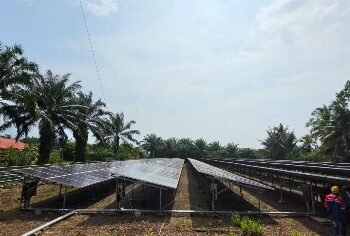 Layani Perbatasan, PLN Andalkan PLTS